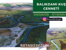 Eskisehir Sivrihisar Balikdami Kus Cenneti