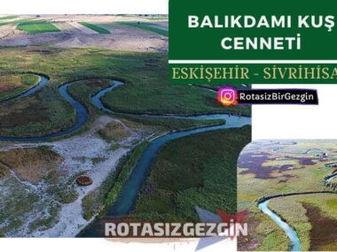 Eskisehir Sivrihisar Balikdami Kus Cenneti