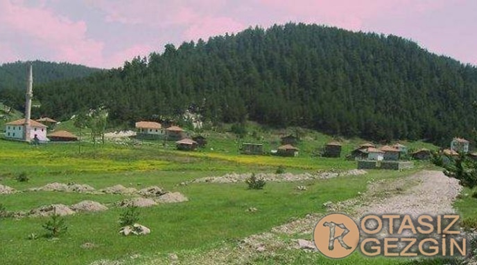 Ankara Kızılcahamam Gebeler Köyü Yaylası Kamp Alanı